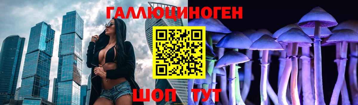 Псилоцибиновые грибы Psilocybe  Вход с VPN  Псилоцибиновые грибы ЛСД  Карасук 
